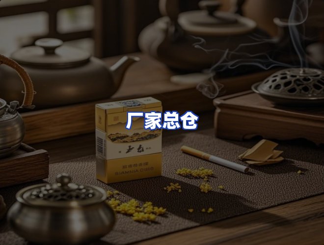 专业团队
